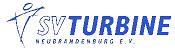 SVT_Logoklein
