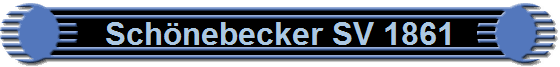 Schnebecker SV 1861